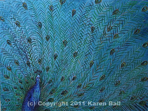 Peacock - Karen Ball - http://karenballpaintings.com